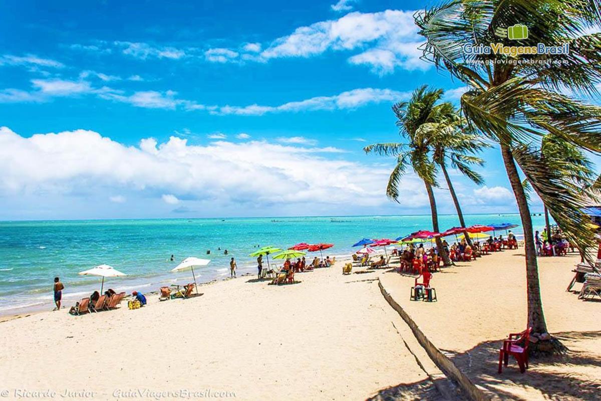 Ape 100 Metros Do Mar - Praia Maceió 외부 사진